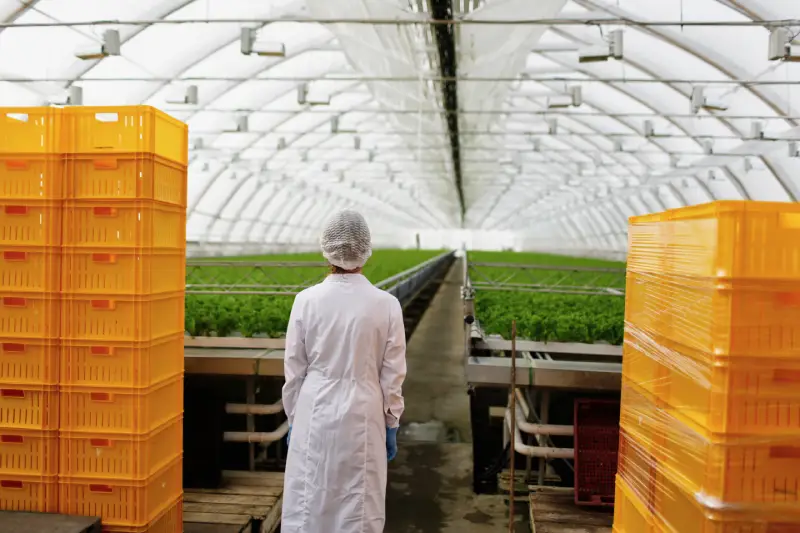 GMP in the Food Industry - A Guide for Exporters
